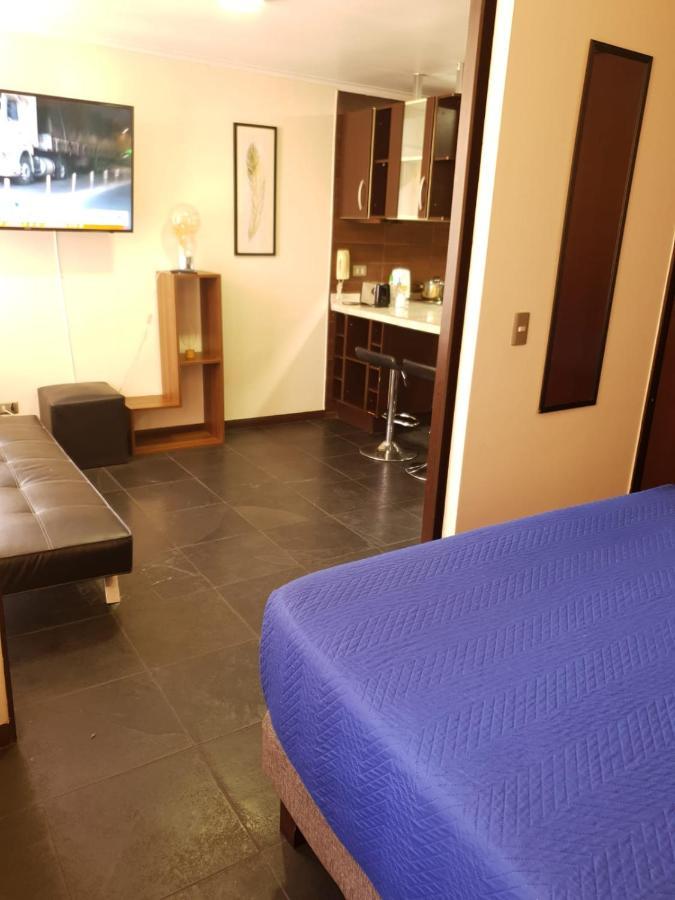 Departamento Con Terraza R&M Apartment Santiago Exterior foto
